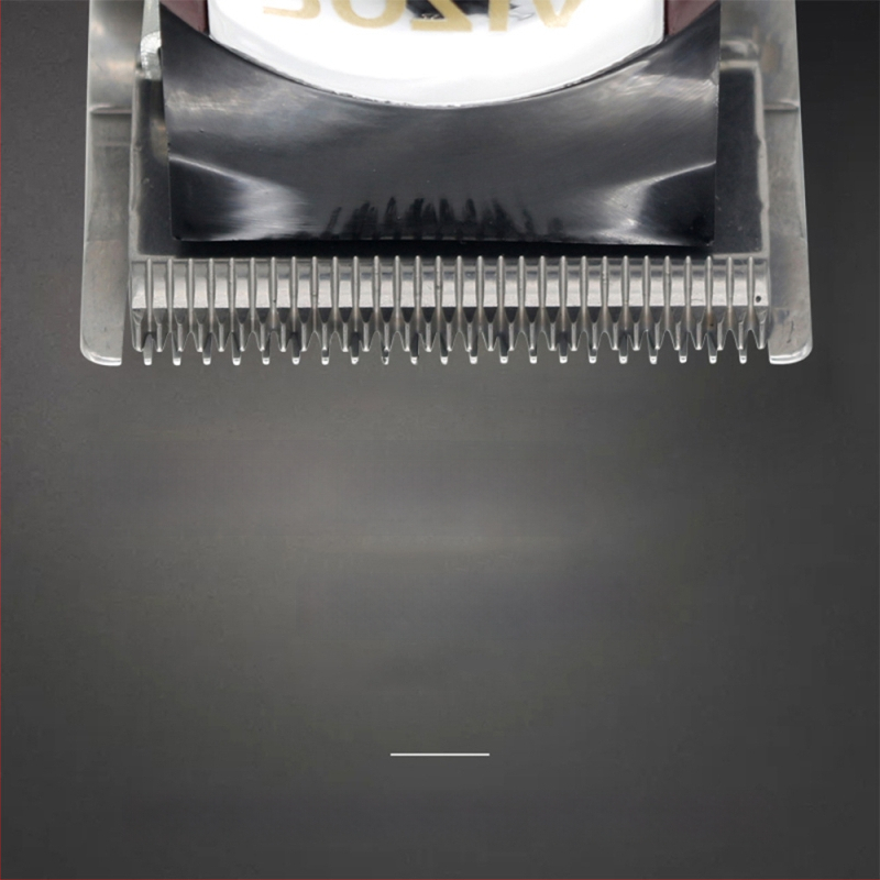 Juukselõikur sisseehitatud akuga ja kahekordse toiteallikaga, harjatud mootor, roostevabast terasest tera, eraldatav ja pestav pea