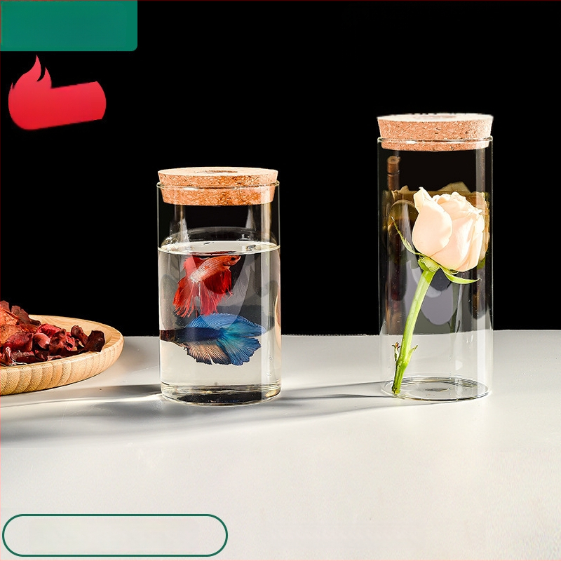 Valgustusega klaasist hoiukarp borosilikaatklaasiga - kõrge läbipaistvus, kork-kaas, käevõrude kuvamiseks, tolmukaitse