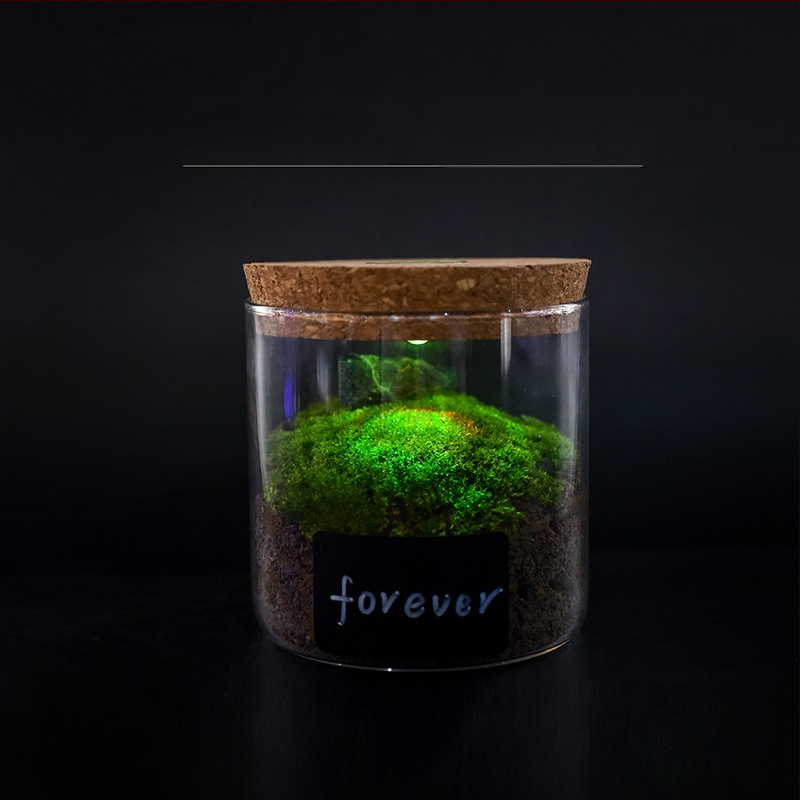 Valgustusega klaasist hoiukarp borosilikaatklaasiga - kõrge läbipaistvus, kork-kaas, käevõrude kuvamiseks, tolmukaitse