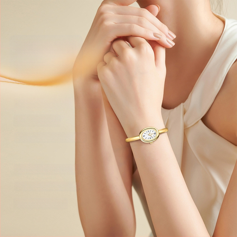 Naisekell ovaalse kujuga ja roostevabast terasest rihm, kvartsliikumine Chenlong 68, safiirkristall, veekindlus 30 m