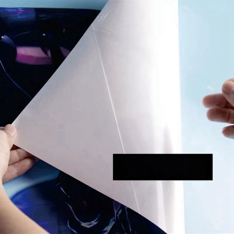 Seinakleebis – kukk motiiv elutuppa, magamistuppa ja esikusse (PVC materjal; dekoratiivne funktsioon; ruumid: elutuba, magamistuba, esik; stiil: modernne lihtsus)