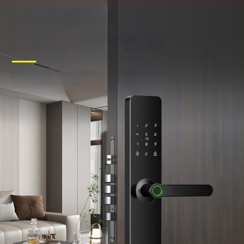 Nh3-5 Nutikas ukse-luku sõrjejälje lugeja – 100 sõrmejälje salvestus, 3 000 000 avamisi, skaneerimine <0,3 s, võltsitud tuvastamise kiirus 0,00001