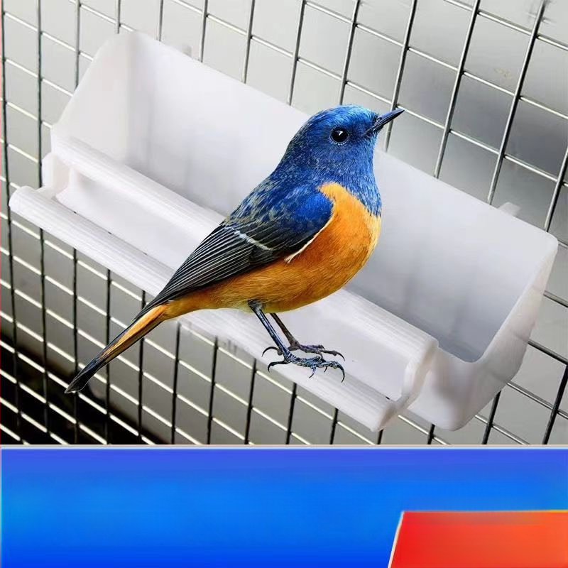 Kahekomponentne lindude toidu- ja joogikauss, paksendatud konstruktsioon, sobib papagoidele ja kajalindudele, kahemaksliline kasutus