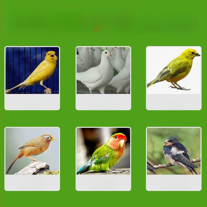 Linnu välise putukate pihusti – papagoidele ja võistluslindudele; tõrjub spalvu utisid, ērmeid ja parasiite.