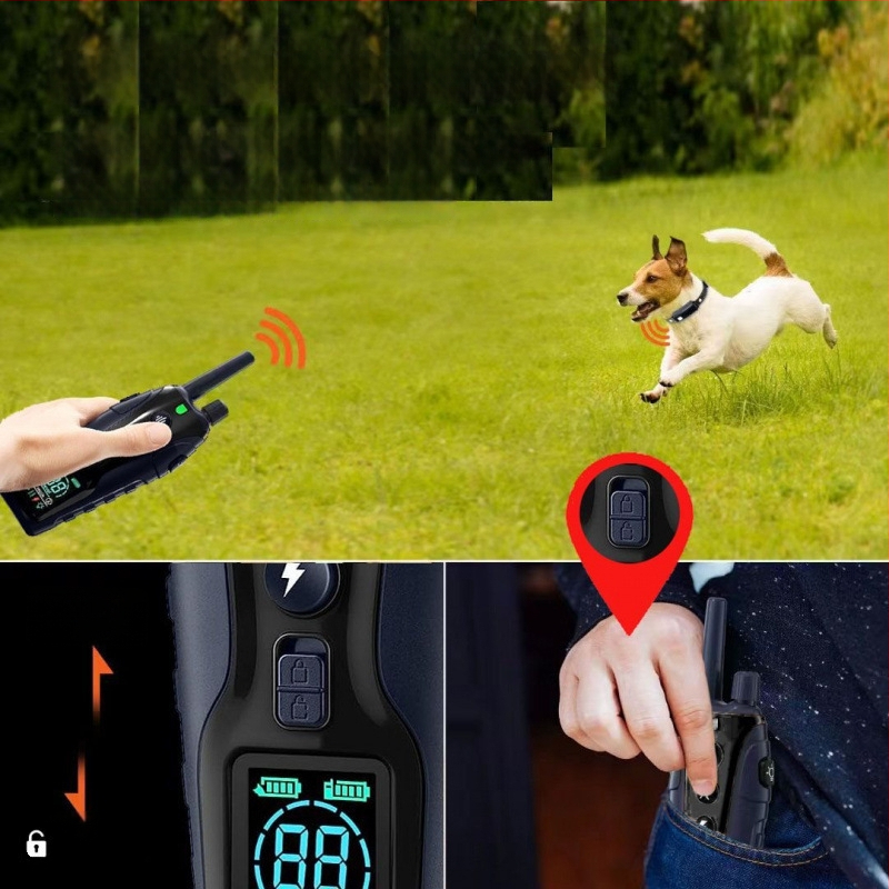 Koera koolituskaelarihm (Materjal: Muu; Bränd: Muu; Tootekategooria: Libisev matt)