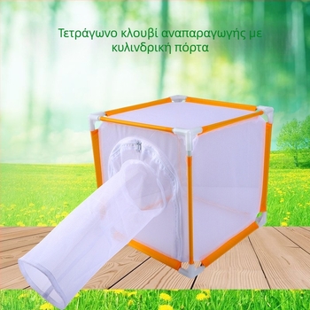 Παιδικό εξωτερικό κλουβί εντόμων για τροφή – κατοικία πεταλούδας με μανίκι, ανοιχτή πόρτα, ίνα σωλήνας, τετράγωνο δικτυωτό κλουβί. Προέλευση Zhejiang; Μάρκα Xinyang; Ιδιωτική ετικέτα: Ναι