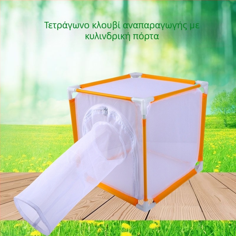 Παιδικό εξωτερικό κλουβί εντόμων για τροφή – κατοικία πεταλούδας με μανίκι, ανοιχτή πόρτα, ίνα σωλήνας, τετράγωνο δικτυωτό κλουβί. Προέλευση Zhejiang; Μάρκα Xinyang; Ιδιωτική ετικέτα: Ναι