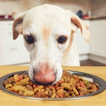 Ράφι για μπολ κατοικίδιων από μπαμπού, μοντέλο H198, μάρκα Mingjiang, σετ 8 τεμαχίων (Υλικό: μπαμπού; Μοντέλο: H198; Μάρκα: Mingjiang; Συσκευασία: 8 τεμάχια)
