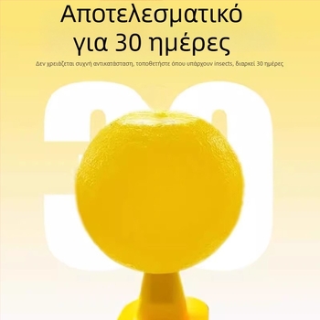 Εσωτερική παγίδα για μύγες φρούτων — υλικό PP, απλός σχεδιασμός, μη τοξικό, χωρίς άρωμα