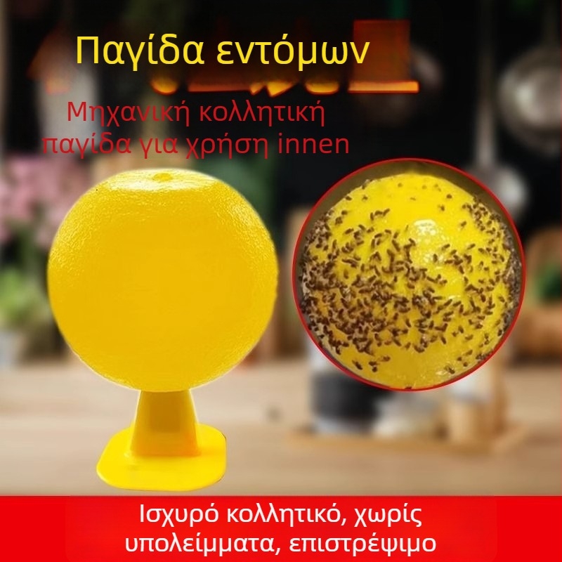 Εσωτερική παγίδα για μύγες φρούτων — υλικό PP, απλός σχεδιασμός, μη τοξικό, χωρίς άρωμα