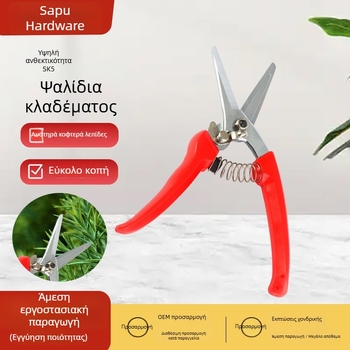 Sap Κλαδευτήρες από ανοξείδωτο χάλυβα με ευθεία κεφαλή – ελατηριωτή χειρολαβή, εργαλείο κήπου και συγκομ-
ιδή φρούτων