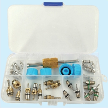 Air Conditioning Valve Core Kit – Chu zhuo, universal για όλα τα οχήματα