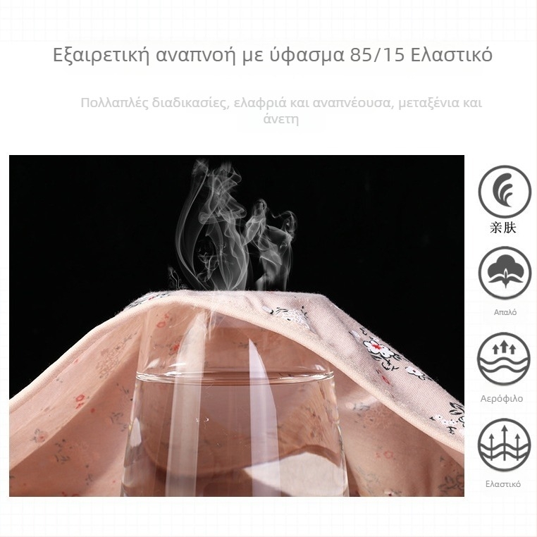 Plus-Size γυναικείες εσώρουχα από βαμβακοπολυεστερική μίξη, μεσαία μέση, μονόχρωμο υπόβαθρο με εκτύπωση ανθών δαμάσκηνου