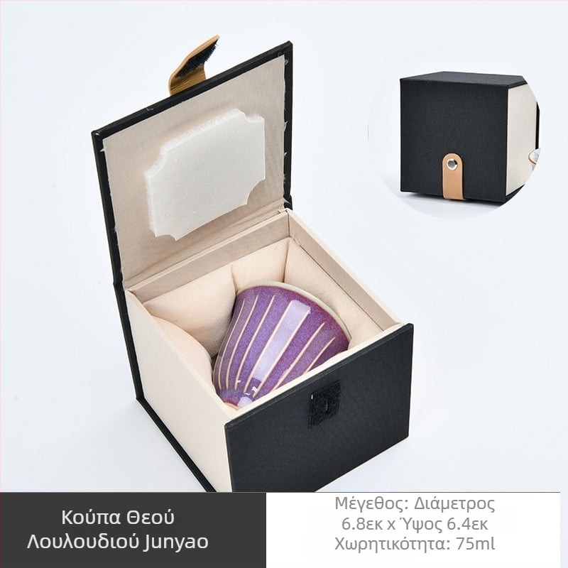 Σετ φλυτζανιών τσαγιού πορσελάνης Dehua, Νέος Κινεζικός Στυλ, Μονοχρωμη Γλάσουρα, Κουτί Δώρου