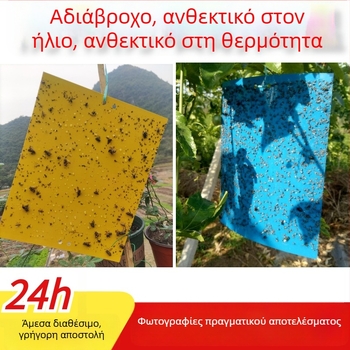 Κολλητική επιφάνεια εντόμων και παγίδα για μύγες και κουνούπια