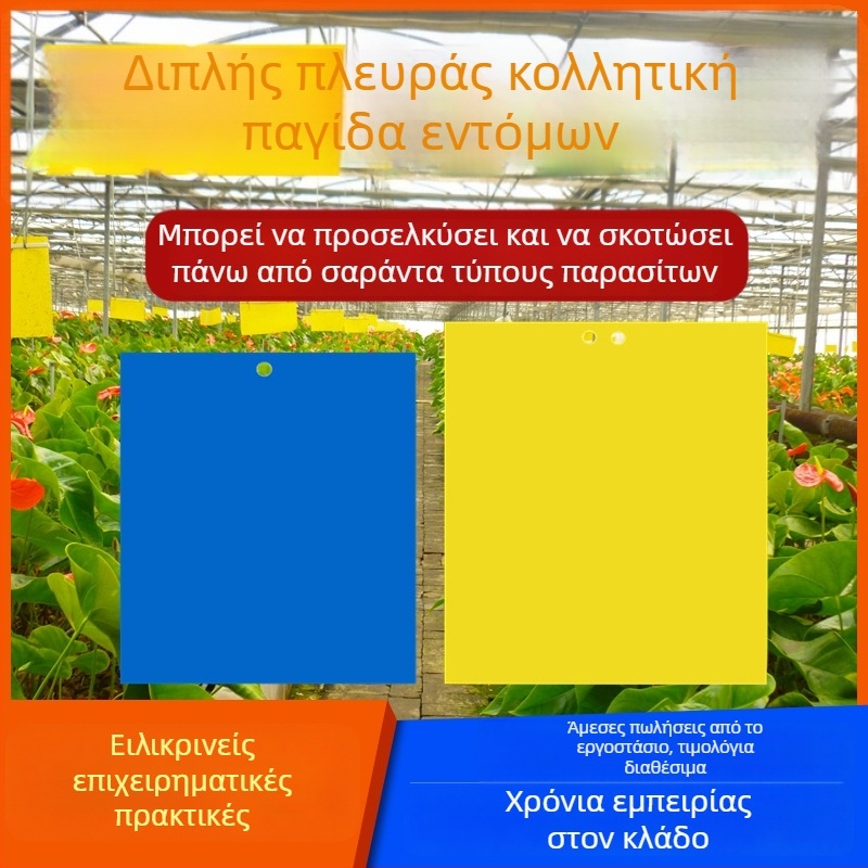 Κολλητική επιφάνεια εντόμων και παγίδα για μύγες και κουνούπια