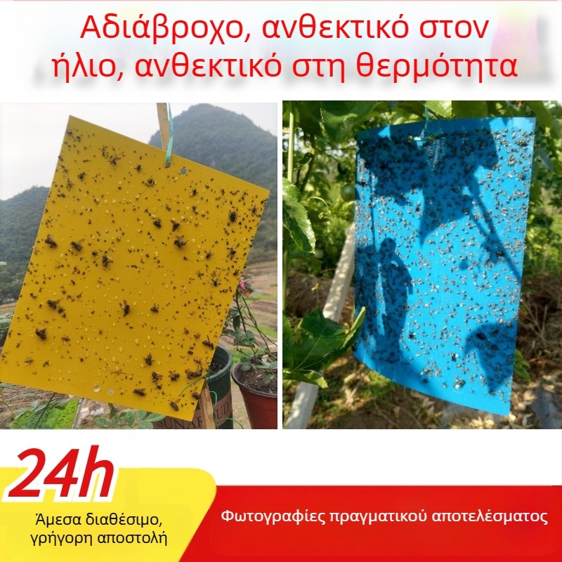 Κολλητική επιφάνεια εντόμων και παγίδα για μύγες και κουνούπια
