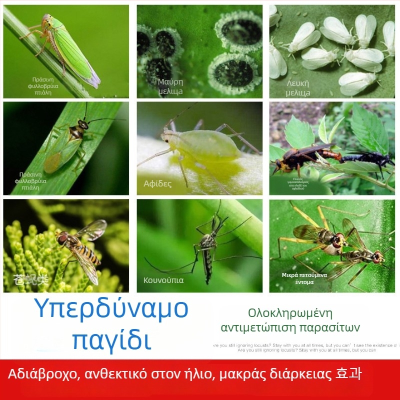 Κολλητική επιφάνεια εντόμων και παγίδα για μύγες και κουνούπια