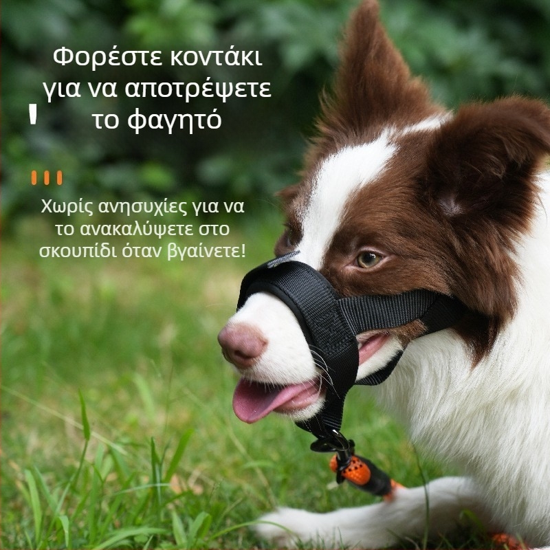 Μουζίλα σκύλου από ύφασμα | Προλαμβάνει δάγκωμα και γάβγισμα | Επιτρέπει πόσιμο νερό | Μη εισαγόμενο προϊόν