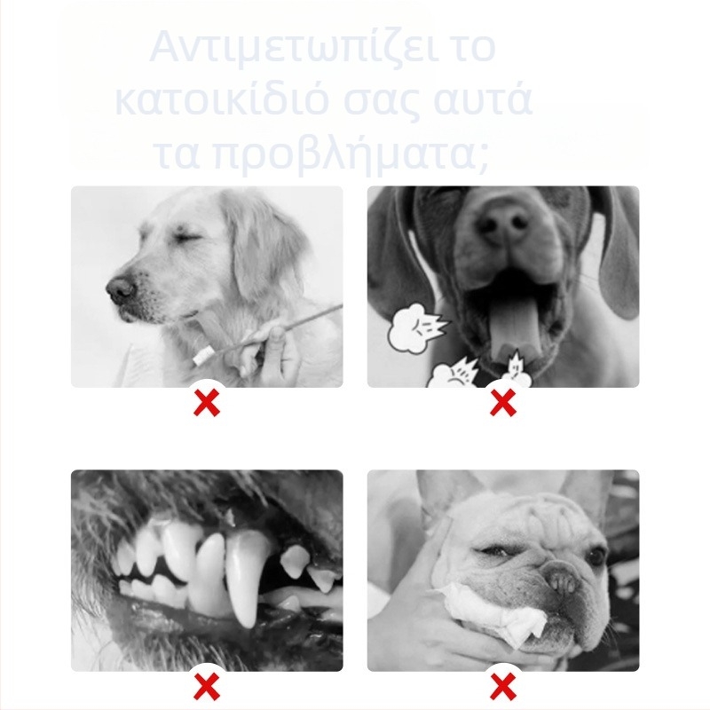 Pushino στοματικό διάλυμα για φρέσκια αναπνοή, υγρό, γενική χρήση