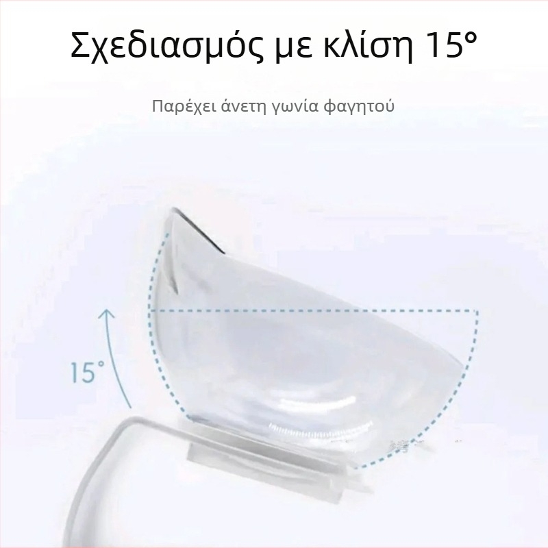 Μπολ γάτας με κεκλιμένο άνοιγμα και προστασία του λαιμού, διπλά διαφανή μπολ για τροφή, πλαστικό