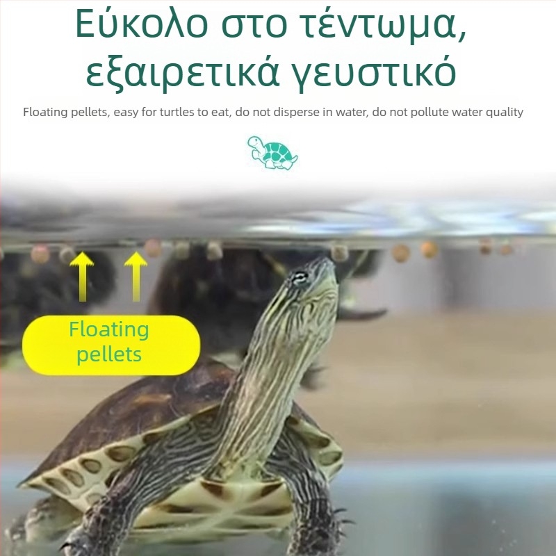 Τροφή χελώνων σε κόκκους – ενυδρειακή τροφή κατοικίδιων, σε μαζική παρτίδα, μη εισαγόμενη