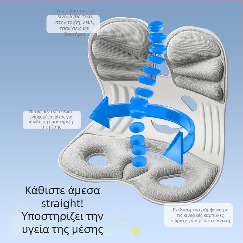 Μαξιλάρι οσφυϊκής στήριξης για γραφείο