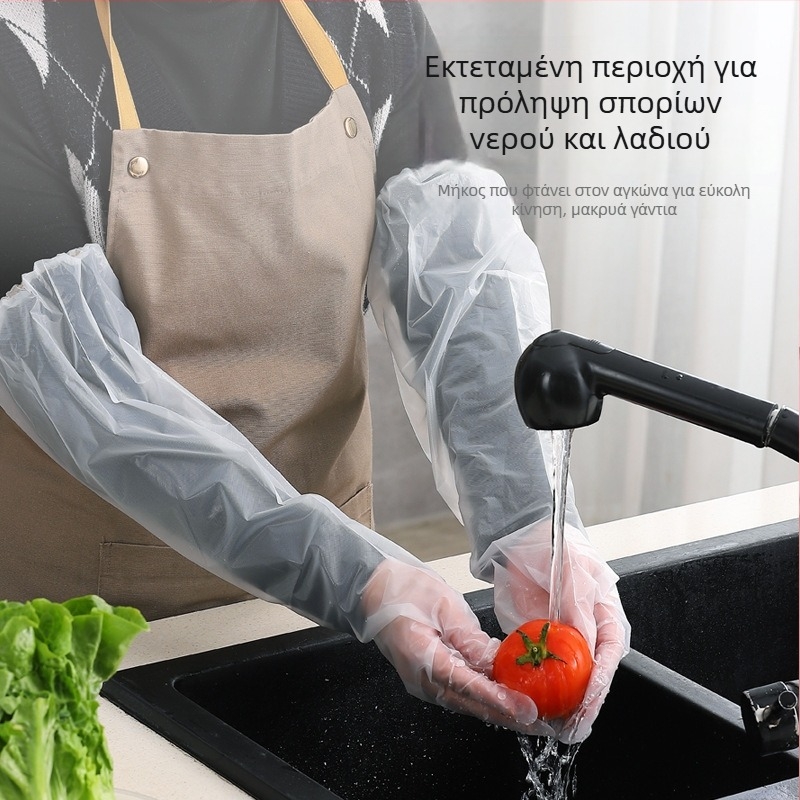 Μονοχρηστικά γάντια CPE μακριά χέρια, αντιολισθητική λαβή, πάχος 0,7 mm, απλό μοτίβο, διάρκεια ζωής 2 έτη