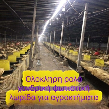 Εξωτερική LED λωρίδα με 5050 LED και CR τσιπ, 11.52W/m, 220V, για εξωτερική διαφήμιση