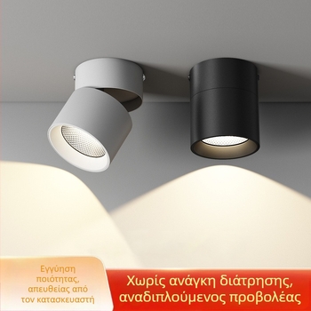 Ρυθμιζόμενο γωνιακό φωτιστικό οροφής LED, 220V, αλουμινένιο περίβλημα, CRI ≥95