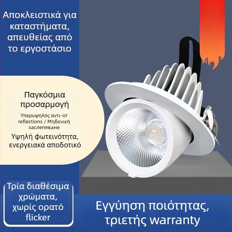 Ενσωματωμένο πολυκατευθυντικό φως τοίχου για πλύσιμο τοίχου με COB LED, 220V, ρυθμιζόμενη γωνία, αλουμινένιο περίβλημα, CRI ≥95