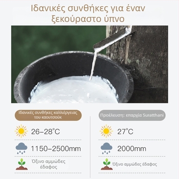 Μαξιλάρι από φυσικό λατέξ με κυματοειδή μορφή για τον αυχένα, περιεκτικότητα λατέξ >90%, βάρος 2–3 κιλά, δυνατότητα παραμετροποίησης επεξεργασίας