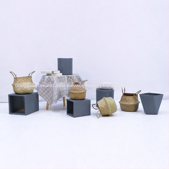 Διακόσμηση εσωτερικού τοπίου: γλάστρα από τσιμέντο, Nordic στυλ, τύπος δαπέδου, κατάλληλη για γραφεία, ξενοδοχεία και οικιακή διακόσμηση