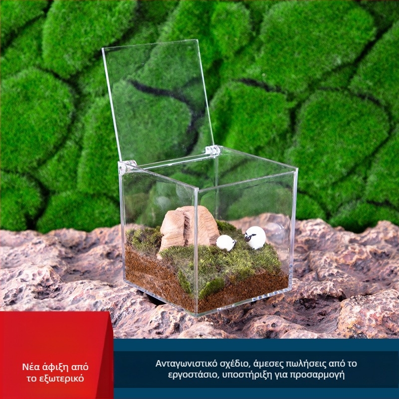 Ακρυλικό terrarium με Moss μικρού τοπίου — μίνι DIY κουτί γραφείου, μοντέλο Square Box Micro Landscape, Levana