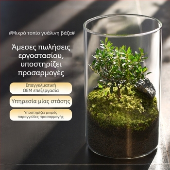 Διαφανής γυάλινος βάζος για μικροτοπίο, κυλινδικός σχεδιασμός, γυαλί μπόροσιλικό, δυνατότητα παραμετροποίησης, Thick Glass