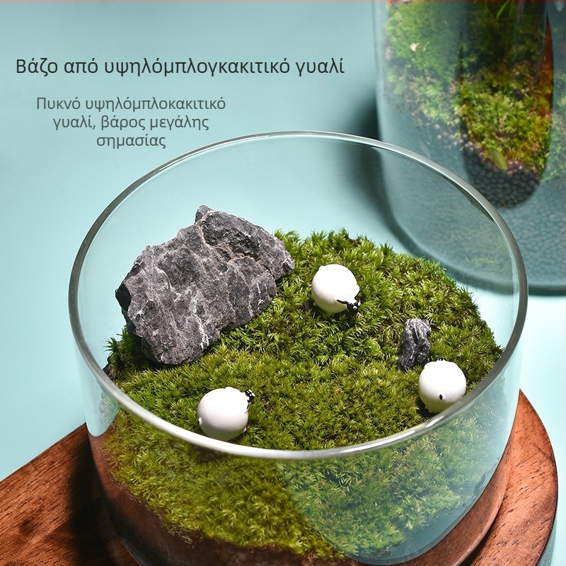 Διαφανής γυάλινος βάζος για μικροτοπίο, κυλινδικός σχεδιασμός, γυαλί μπόροσιλικό, δυνατότητα παραμετροποίησης, Thick Glass