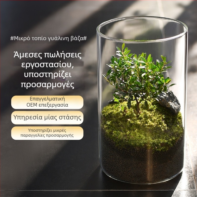 Διαφανής γυάλινος βάζος για μικροτοπίο, κυλινδικός σχεδιασμός, γυαλί μπόροσιλικό, δυνατότητα παραμετροποίησης, Thick Glass