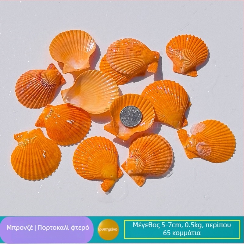 Φυσικά κοχύλια και αστερίας για διακόσμηση ενυδρείου/τεράριου με τρύπες, χειροποίητο πλαίσιο φωτογραφιών για παιδιά, DIY καμπάνα ανέμου και φιάλη drift