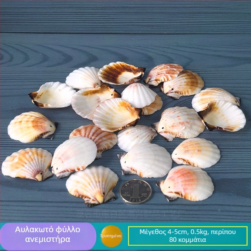 Φυσικά κοχύλια και αστερίας για διακόσμηση ενυδρείου/τεράριου με τρύπες, χειροποίητο πλαίσιο φωτογραφιών για παιδιά, DIY καμπάνα ανέμου και φιάλη drift