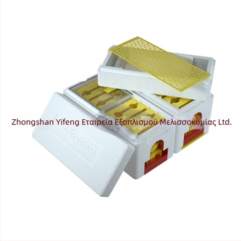 Κυψέλη Yifeng H18 – διπλού στρώματος αφρώδης κυψέλη για εκτροφή βασιλισσών με ενσωματωμένο κουτί ζευγαρώματος