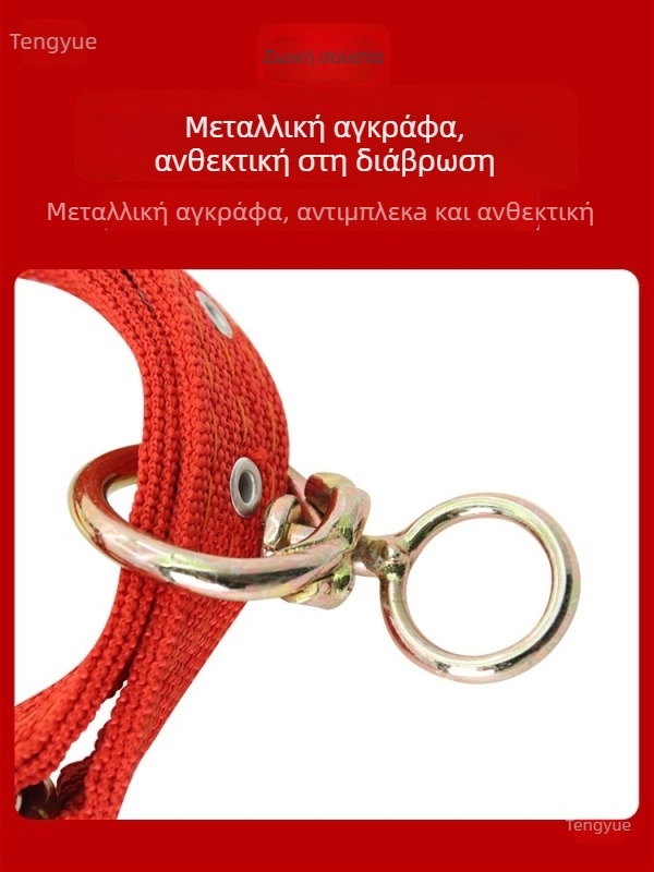 Σετ κλουβιού κεφαλής για βοοειδή και άλογα — Μύλος φαγητού; Μάρκα: Άλλη; Τομέας: Κτηνοτροφία, Βιομηχανία Εκτροφής