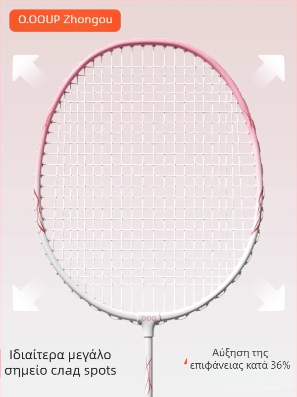 Σετ ρακετών μπατμιντον με πλαίσιο από κράμα σιδήρου, νήματα από νάιλον, βάρος 95–100 g, λαβή G5, τύπος ρακέτας: ευθεία