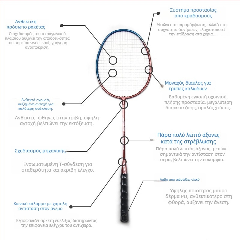 Rex 506 μπάντμιντον ρακέτα, σετ 2 τεμάχια, πλαίσιο από κράμα μετάλλου, νάιλον σχοινιά, βάρος 95-100 g, πάχος λαβής G4