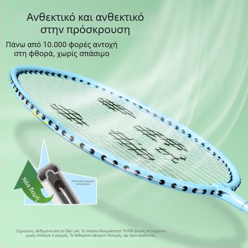 Ρακέτα Μπάντμιντον με τηλεσκοπική ρύθμιση και διαχωρισμένο σχέδιο, σκελετός από κράμα σιδήρου, μήκος 665 mm, ίνες φτερών υψηλής ελαστικότητας