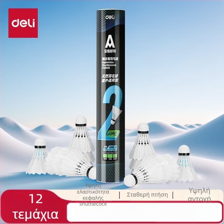 Deliangernet ρακέτα μπάντμιντον, σετ 2 τεμαχίων, 95–100 g, ευθεία βολή, για ερασιτέχνες και νέους αθλητές