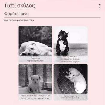 Πάνες για γάτες και σκύλους με διαπνέουσα βάση, πολυμερούς πυρήνας, ελαστική ζώνη – σετ 10 τεμάχια