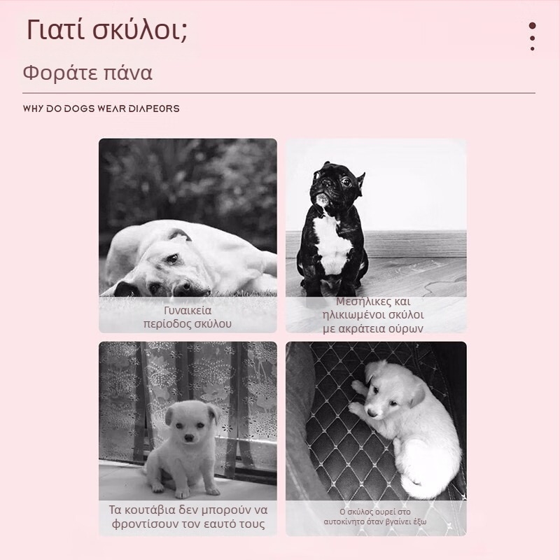 Πάνες για γάτες και σκύλους με διαπνέουσα βάση, πολυμερούς πυρήνας, ελαστική ζώνη – σετ 10 τεμάχια