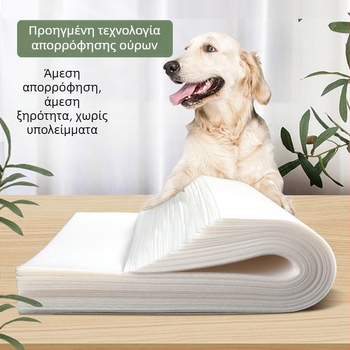 Απορροφητικό χαρτί ούρων σκύλου για Τέντι — μίας χρήσης, φράγμα ούρων, μη υφαντό υλικό για κατοικίδια