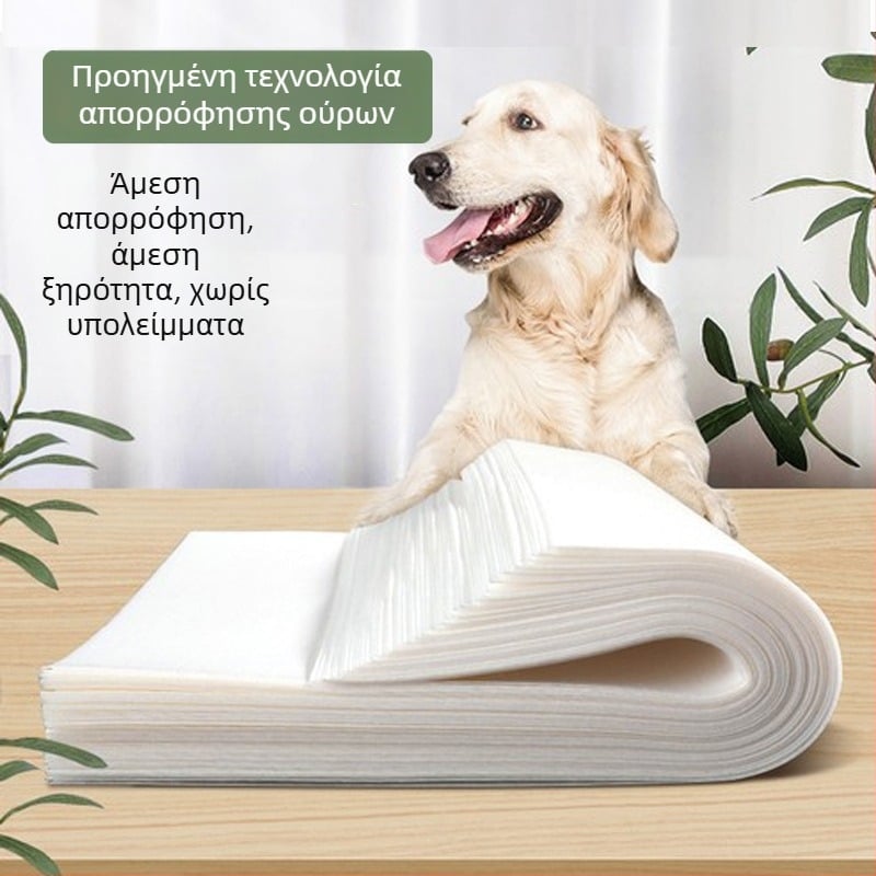 Απορροφητικό χαρτί ούρων σκύλου για Τέντι — μίας χρήσης, φράγμα ούρων, μη υφαντό υλικό για κατοικίδια