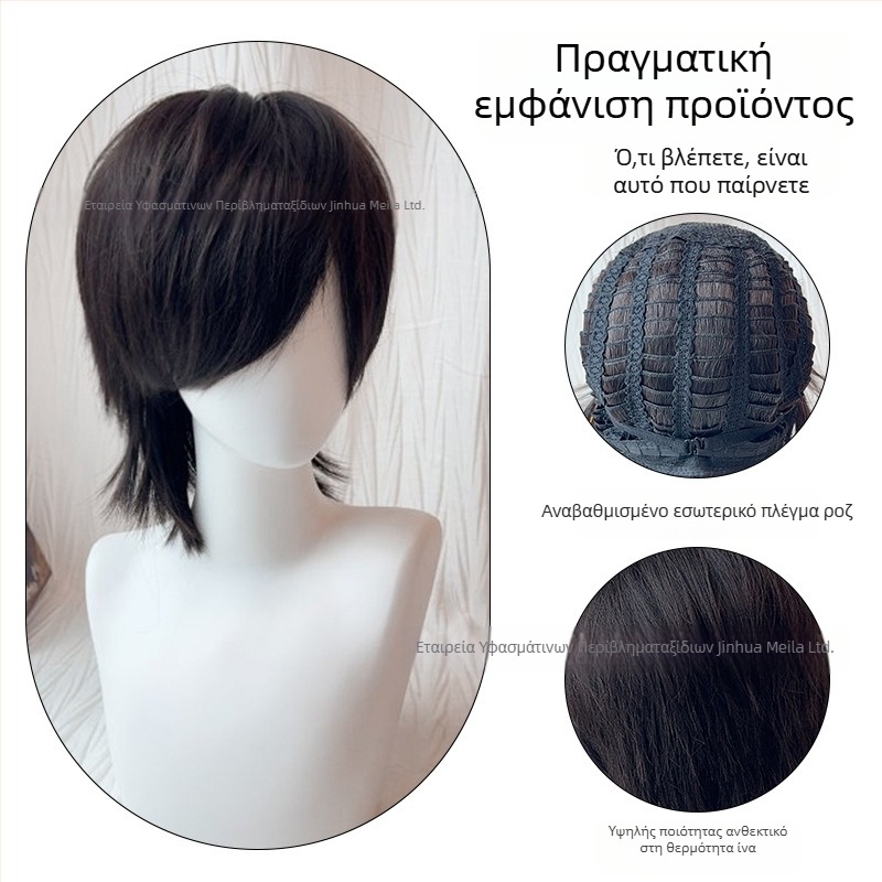 Ανδρική περούκα με στυλ mullet, μοντέλο 525, ίνες ανθεκτικές σε θερμοκρασία, cosplay έτοιμη